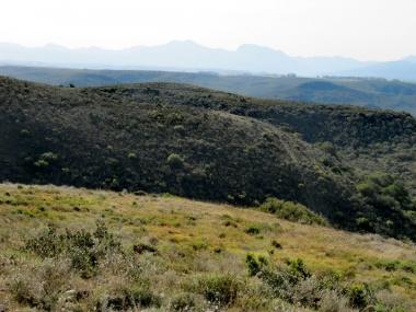 0 Bedroom Property for Sale in Outeniquasbosch Western Cape
